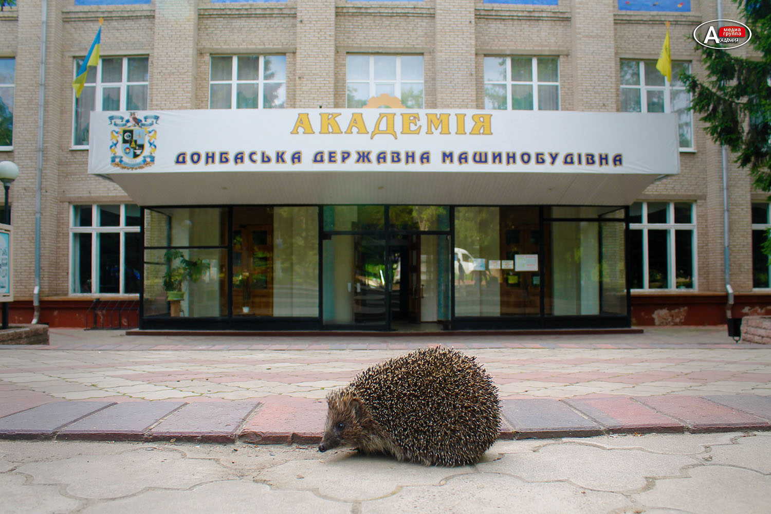 Детальніше...